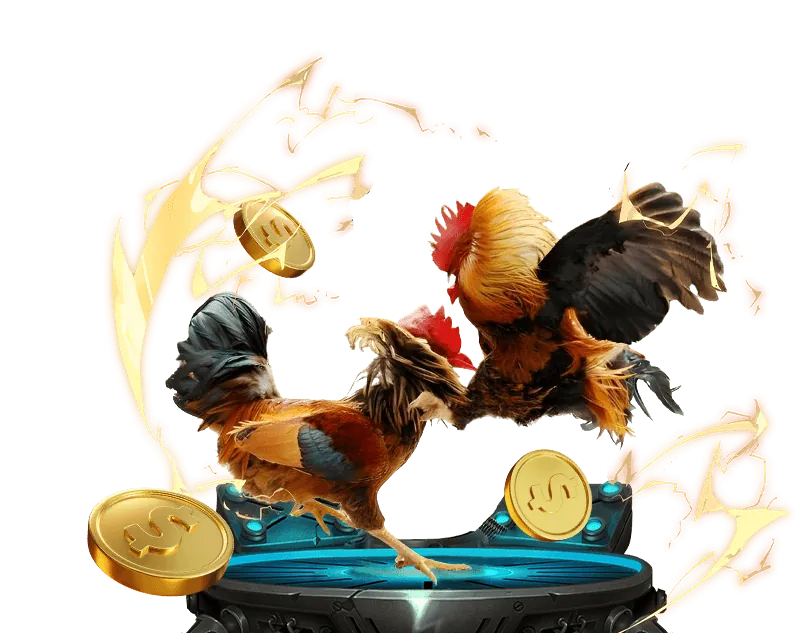 Các loại kèo cược đá gà phổ biến